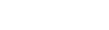 Nemi Enterprises